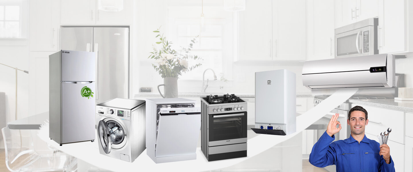 Rize Electrolux Servisi